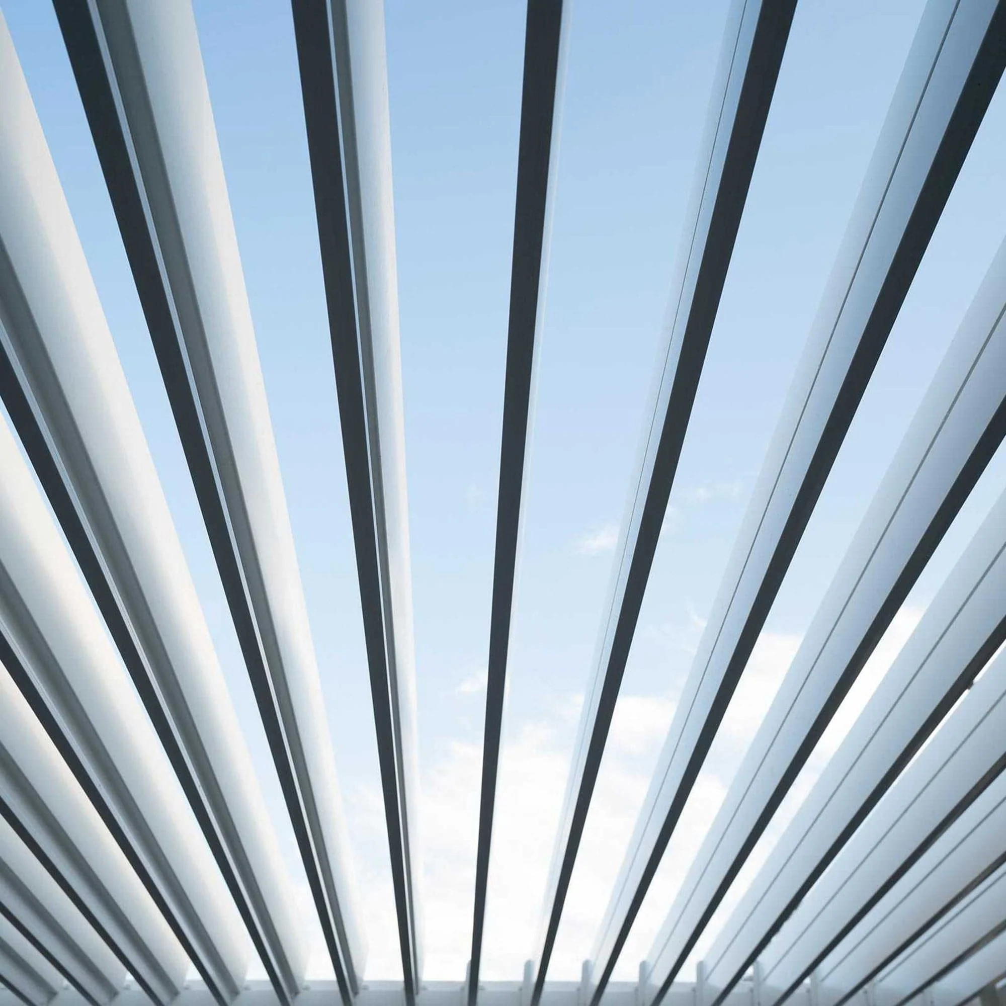 Palm Beach - Garden Aluminium Pergola & 2 Privacy Screens 4m x 3m - Image 4