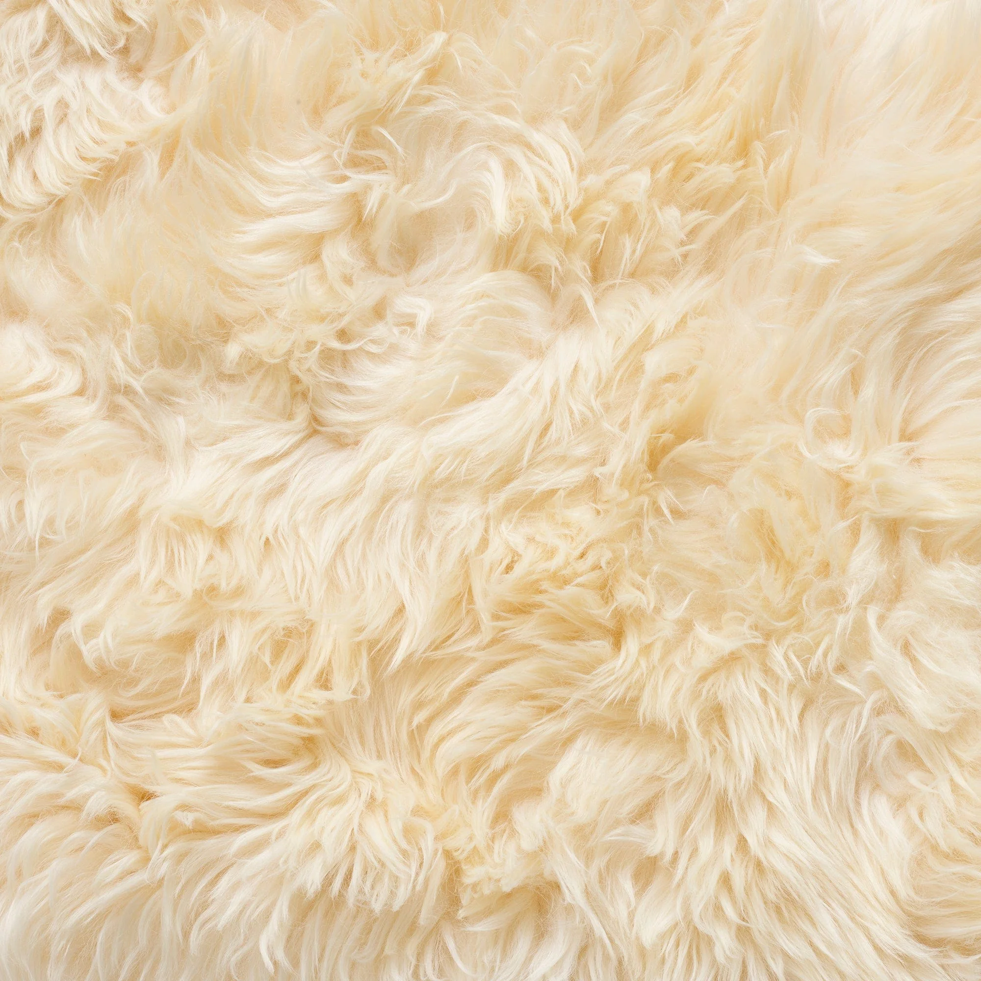Sheepskin - 4 Piece Rug - Image 20